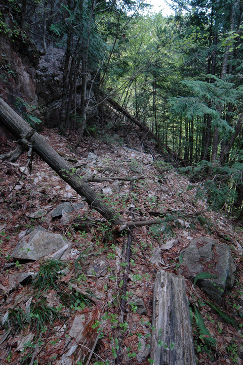 �����X�ѓS��,�ѓS,�p����,����c�я�,�O����,���[��,�ؑ]�X