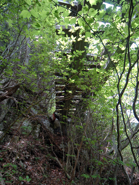 �����X�ѓS��,�ѓS,�p����,����c�я�,�O����,�Αꋴ��