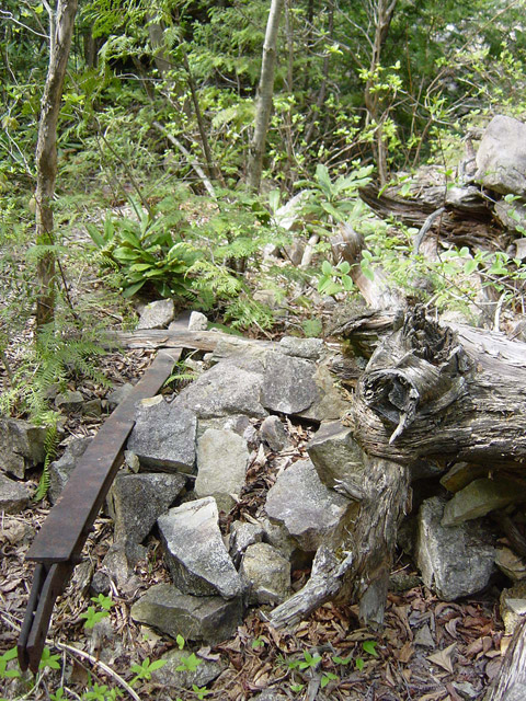 �ؑ]�X�ѓS��������,�ѓS,�p����,�i���[�O����,���H,����