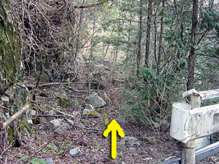 ����X�ѓS������������u�厭�[�����i�����j�v