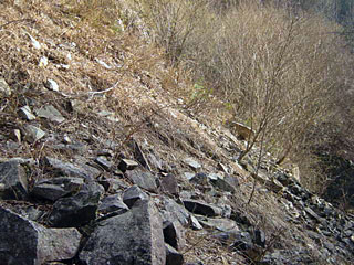 ����X�ѓS������������u�厭�[�����i�����j�v