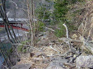 ����X�ѓS������������u�厭�[�����i�����j�v