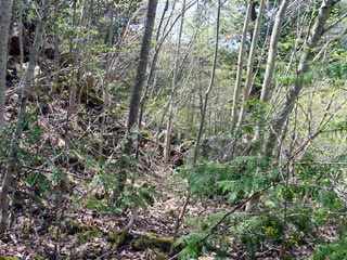 ����X�ѓS������������u���������1��詓��[�����v