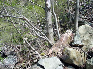 ����X�ѓS������������u���������1��詓��[�����v