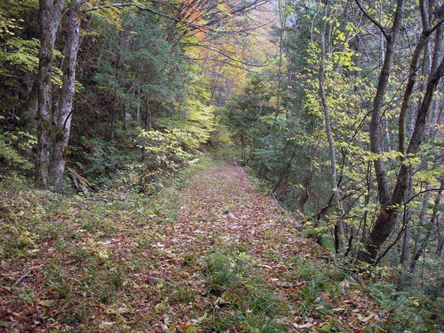 ����X�ѓS������������u��2��詓��[�����v