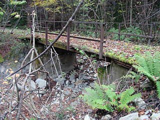 ����X�ѓS�����������,�㌳�����򋴗�