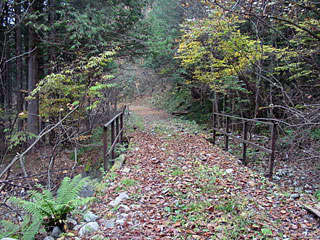 ����X�ѓS�����������,�㌳�����򋴗�