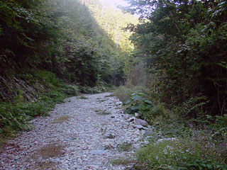 ����X�ѓS������������u�����[��3��詓��v