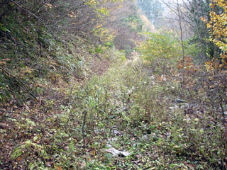 ����X�ѓS������������u�����[��3��詓��v