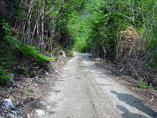 ����X�ѓS������������u�����[��3��詓��v