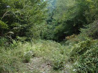 ����X�ѓS������������u�����[��3��詓��v