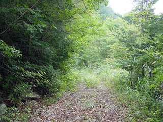 ����X�ѓS������������u��3��詓��[�����򋴗��v