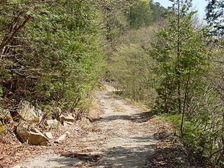 ����X�ѓS������������u��3��詓��[�����򋴗��v