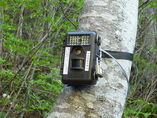 ����X�ѓS������������u��3��詓��[�����򋴗��v