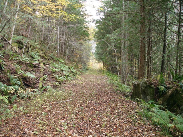 ����X�ѓS������������u��3��詓��[�����򋴗��v