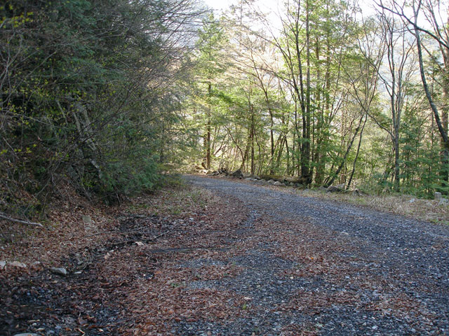 ����X�ѓS������������u��3��詓��[�����򋴗��v