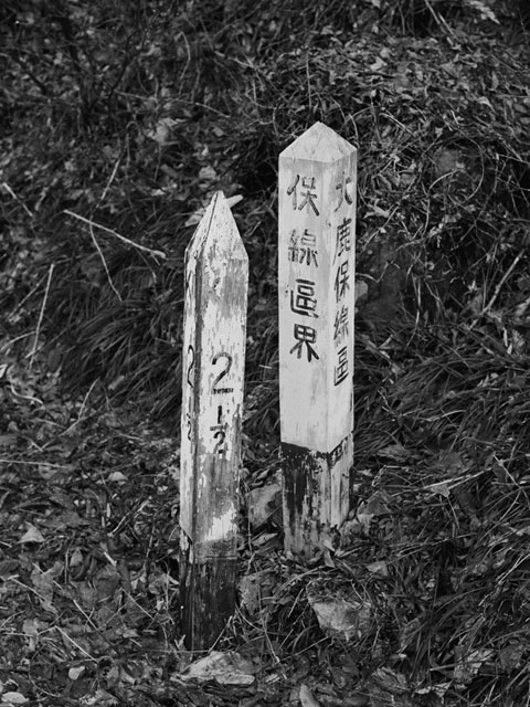 ����X�ѓS������������u��3��詓��[�����򋴗��v