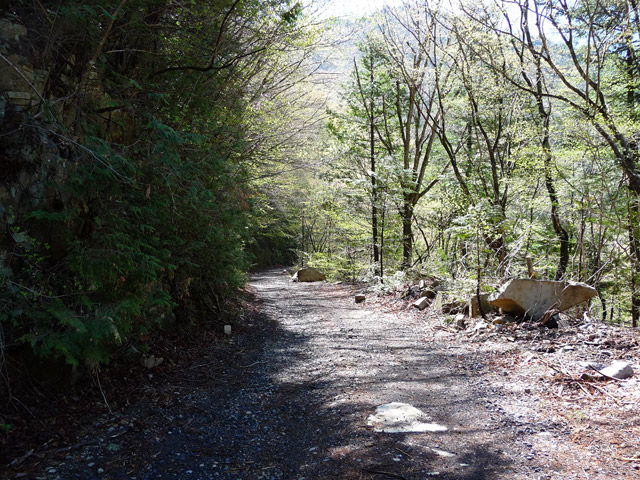 ����X�ѓS������������u��3��詓��[�����򋴗��v