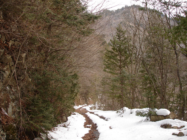 ����X�ѓS������������u��3��詓��[�����򋴗��v