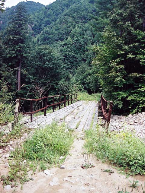 ����X�ѓS�����������,�����򋴗�,�W�k�P��