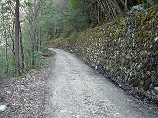 ����X�ѓS�����������,������ԏ�,�����r������