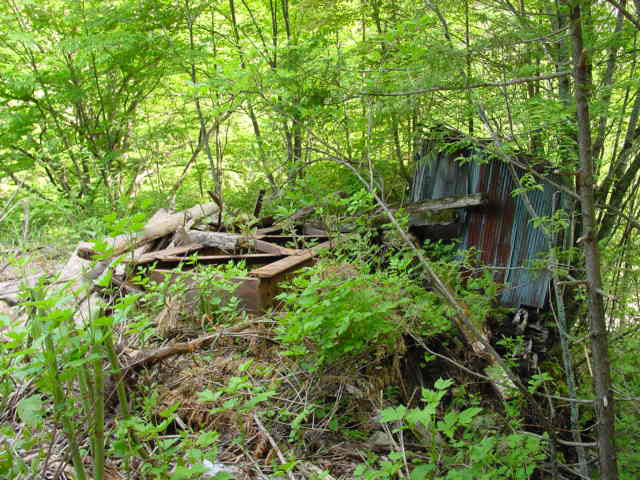 ����X�ѓS�����������,������ԏ�,�����r������