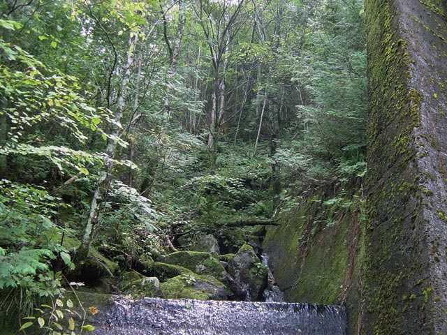 ����X�ѓS�����������,������ԏ�,�����r������