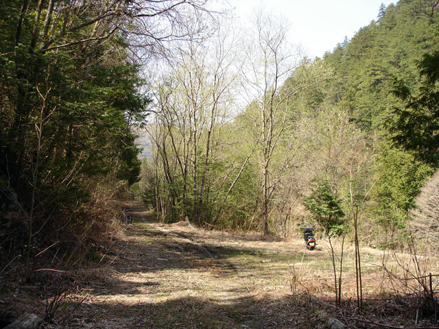 ����X�ѓS�����������,������ԏ�