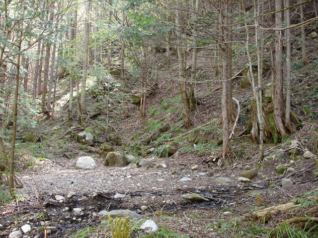 ����X�ѓS�����������,������ԏ�,�֐��d�͍��h��