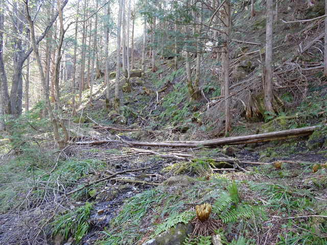 ����X�ѓS�����������,������ԏ�,�֐��d�͍��h��