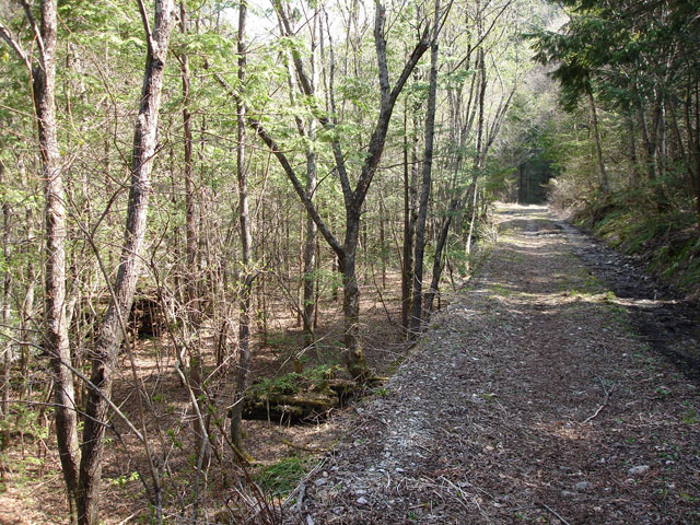 ����X�ѓS�����������,������ԏ�