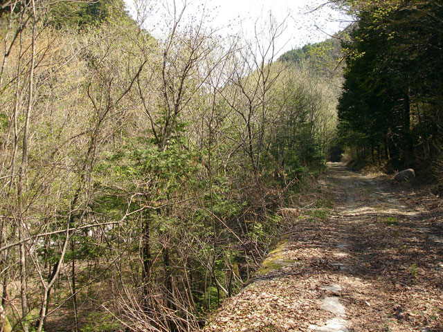 ����X�ѓS�����������,������ԏ�