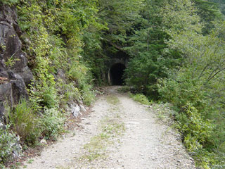 ����X�ѓS������������u�����[�^�|�v