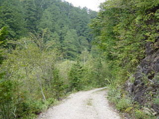 ����X�ѓS������������u�����[�^�|�v