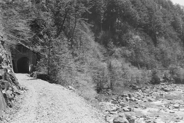 ����X�ѓS������������u�����[�^�|�v