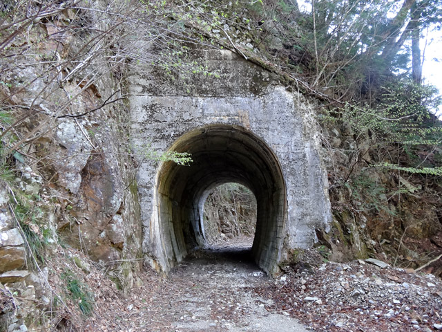 ��������X�ѓS��,��4��詓�,�g���l��