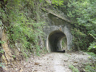 ��������X�ѓS��,��4��詓�,�g���l��