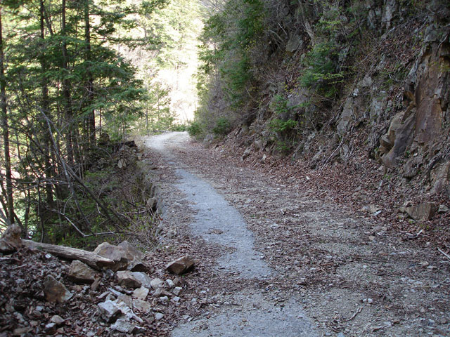 ����X�ѓS�����������,��4��詓�,�g���l��