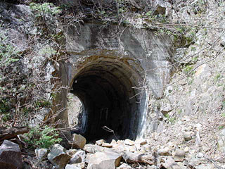 ����X�ѓS������������u�����[�^�|�v