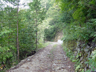 ����X�ѓS������������u��10�������[�^�|�v