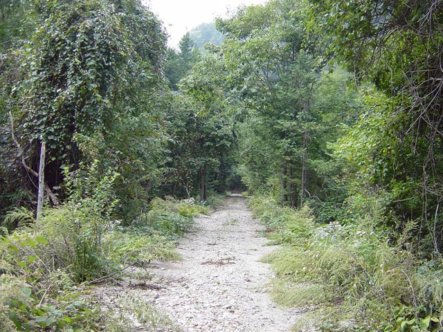 ����X�ѓS������������u��10�������[�^�|�v