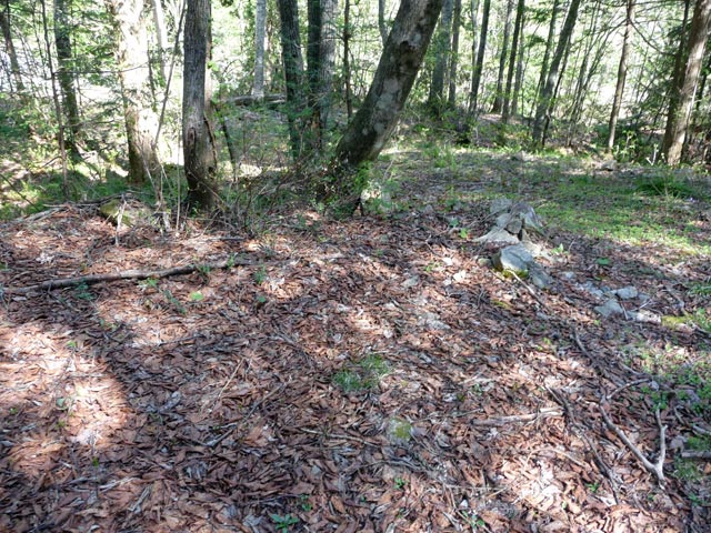 ��������X�ѓS��,,�^�|��ԏ�,�^�ޑ��,�ԗ�