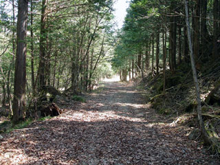 ��������X�ѓS��,,�^�|��ԏ�