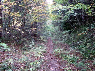 ��������X�ѓS��,,�^�|��ԏ�