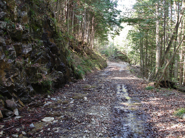 ����X�ѓS������������u�^�|�[��������{�J�����v