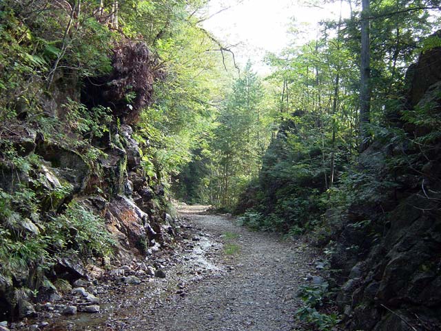 ����X�ѓS������������u�^�|�[��������{�J�����v