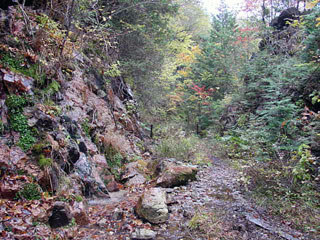 ����X�ѓS������������u�^�|�[��������{�J�����v