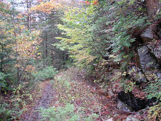 ����X�ѓS������������u�^�|�[��������{�J�����v