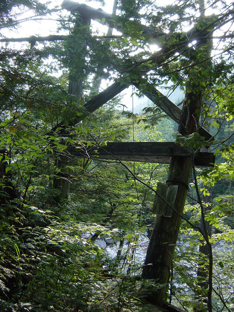 ��������X�ѓS���u�^�|�[��������{�J�����v