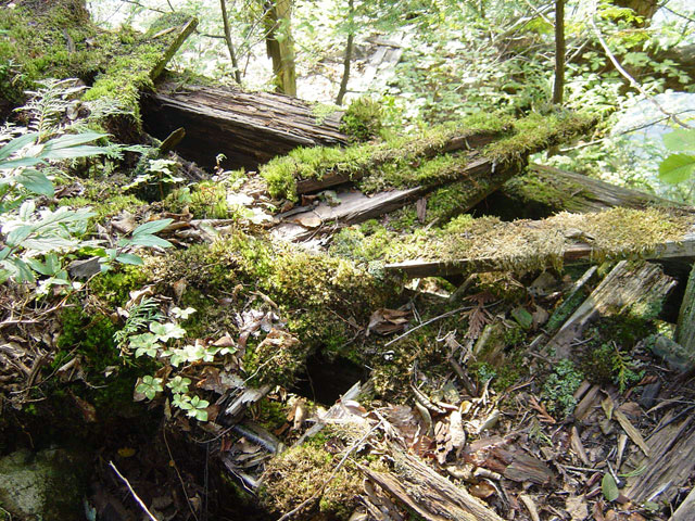 ��������X�ѓS���u�^�|�[��������{�J�����v